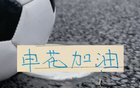 申花8月剩余4场12分 能从河南 北京国安 领头羊蓉城 山东身上谁拿分