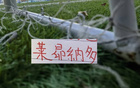 海港第一射手莱昂真自律！别的外援放假不是结婚 旅游 他选择健身 危机感十足